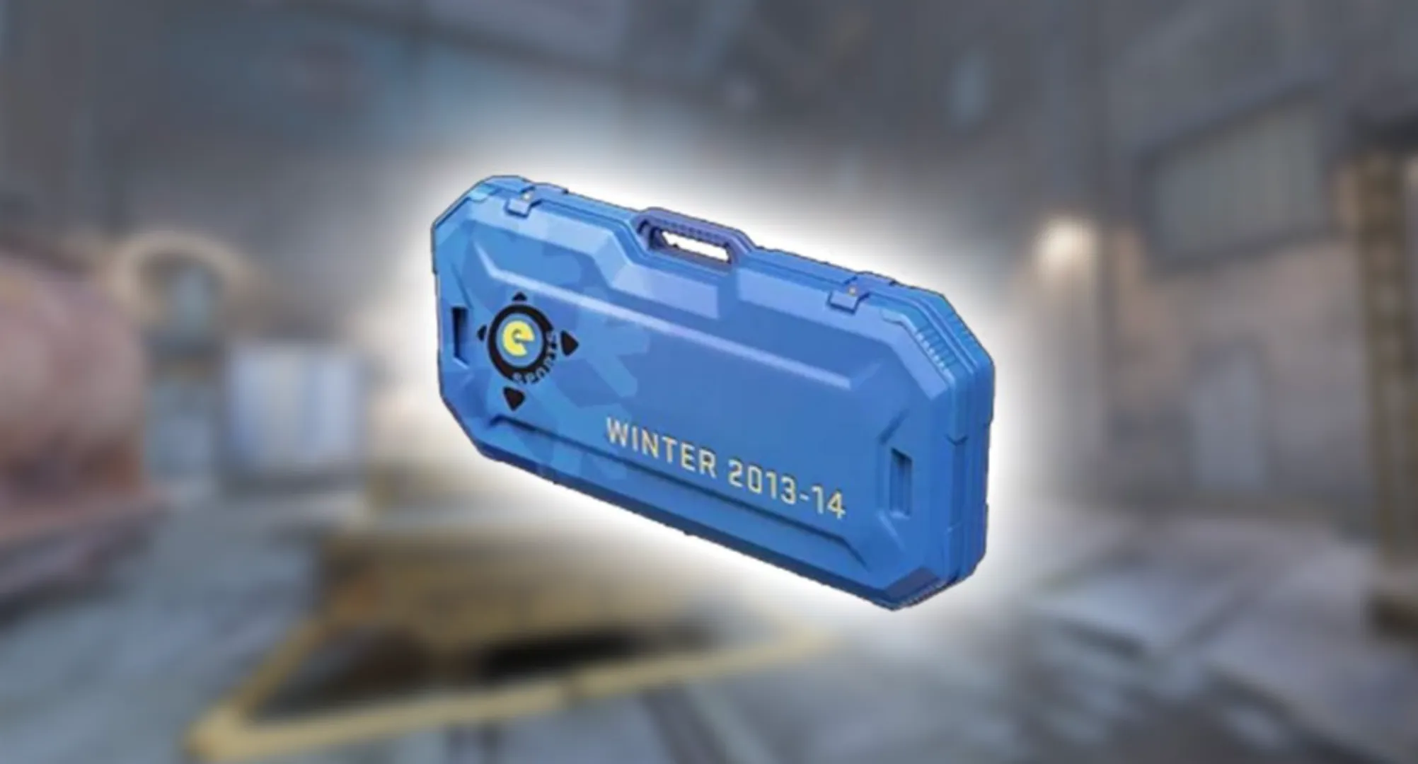 eSports 2013 Winter Case